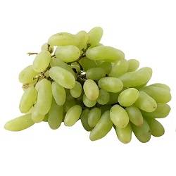 انگورریش بابا